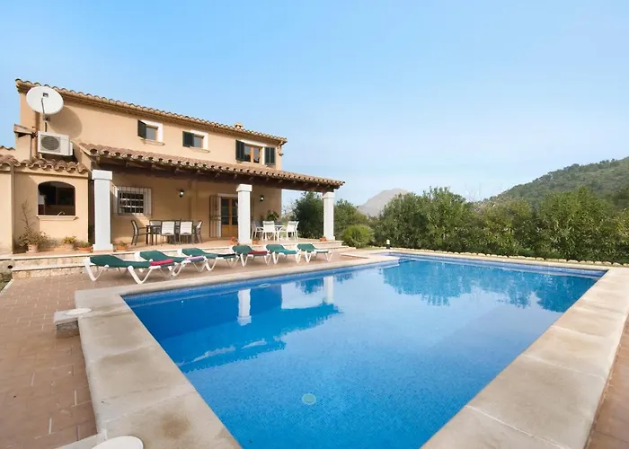 فيلة Can Seguinot *